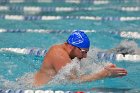 Swimming & Diving vs Babson  Swimming & Diving vs Babson College. - Photo by Keith Nordstrom : Wheaton, Swimming